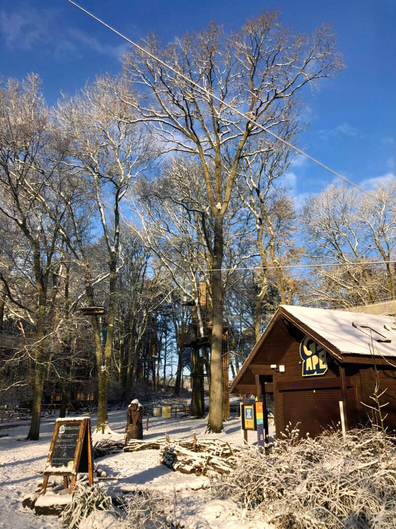 An outdoor adventure venue with treetop rope courses, tall trees, and a wood cabin at Go Ape Coventry.