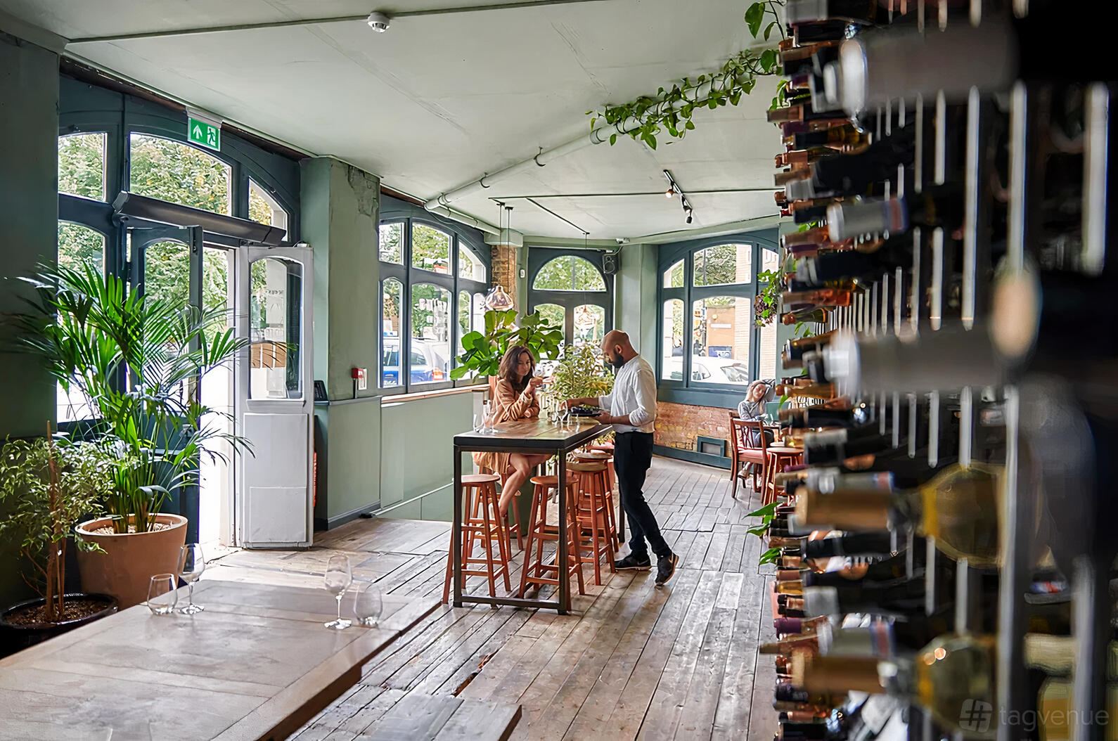A bar with floor-to-ceiling windows, wooden floors, wine bottle display, and potted plants at Diogenes the Dog.