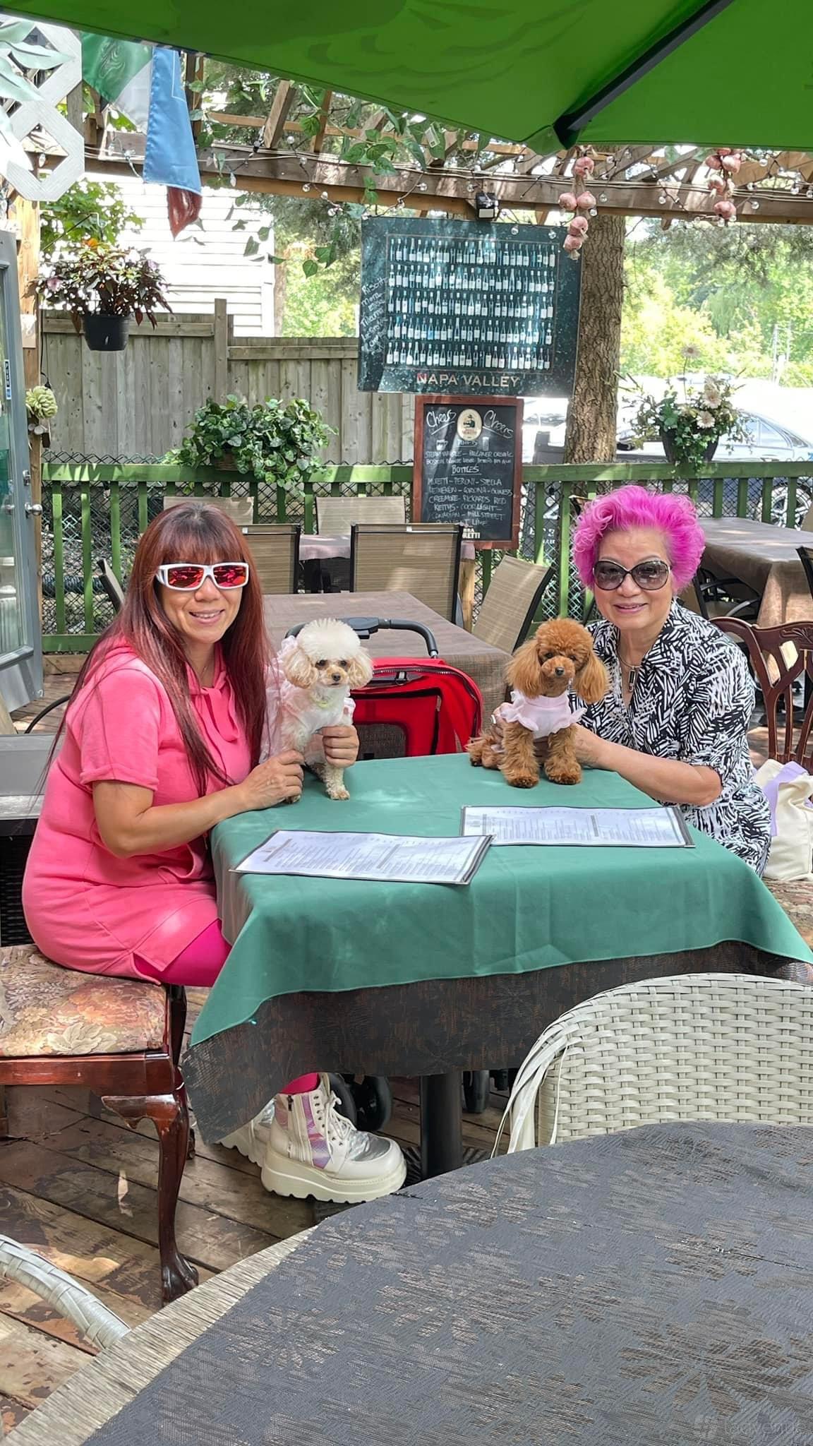 An outdoor restaurant patio with green tablecloths, wooden fencing, and shaded seating at La Grotta on Main.