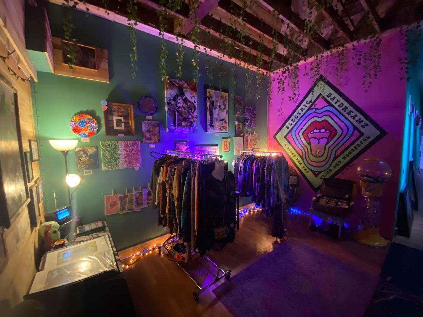 A museum gallery with eclectic art on colorful walls, hanging plants, and clothing racks at SH!FT GALLERY & GATHERINGS.
