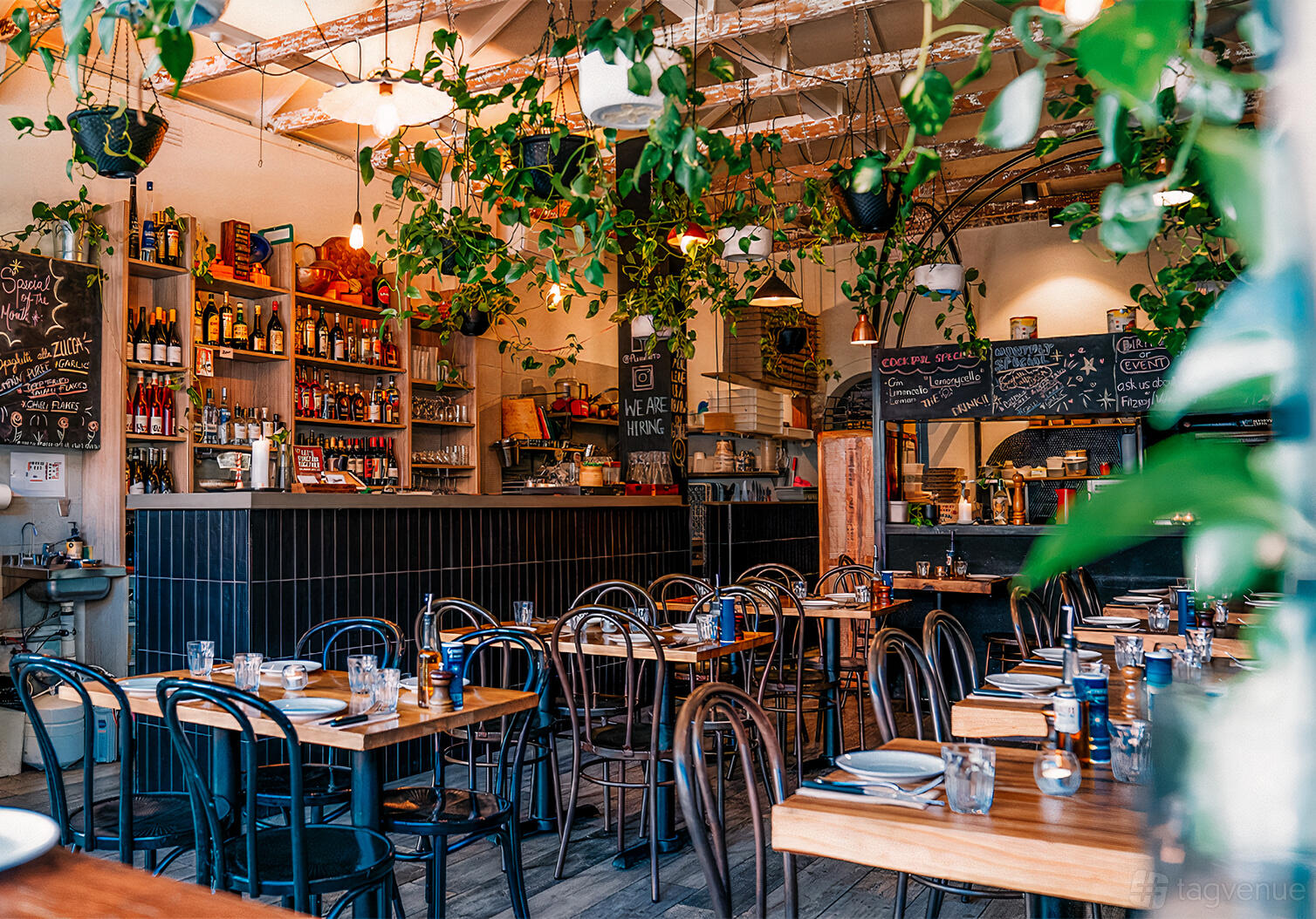 A restaurant with hanging plants, chalkboard menus, wooden tables, and shelves of wine at Farro Fitzroy.