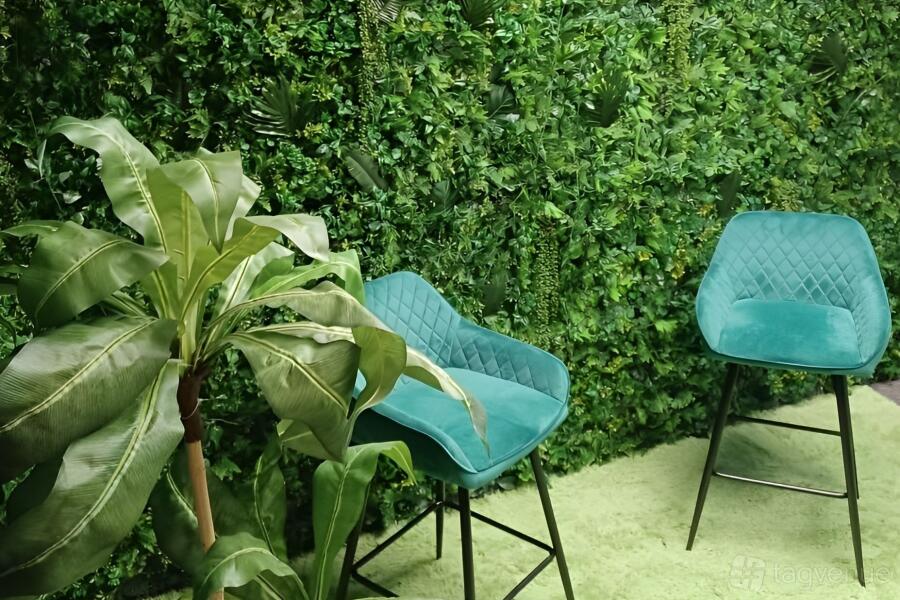 Jungle Room Jungle Room