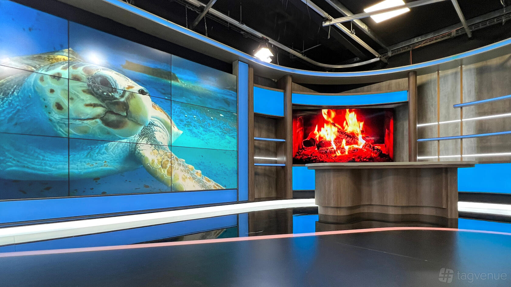 A TV studio with a large video wall displaying a sea turtle and digital fireplace behind a curved anchor desk at Vision Studios.