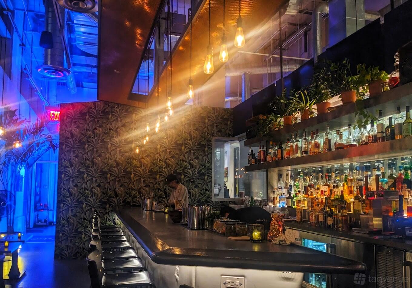 A bar with hanging Edison bulbs, a long counter with bar stools, and a wall lined with liquor bottles and potted plants at Vine Bar.