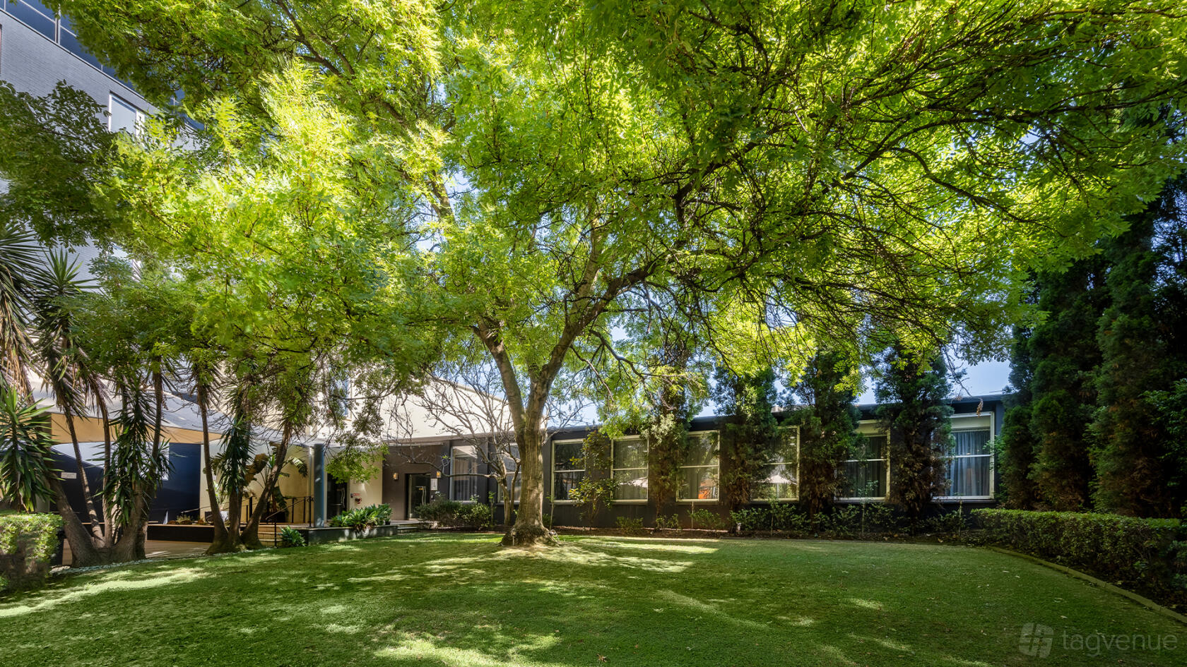A hotel garden with a large shady tree, manicured lawn, and surrounding greenery at Novotel Melbourne Preston.