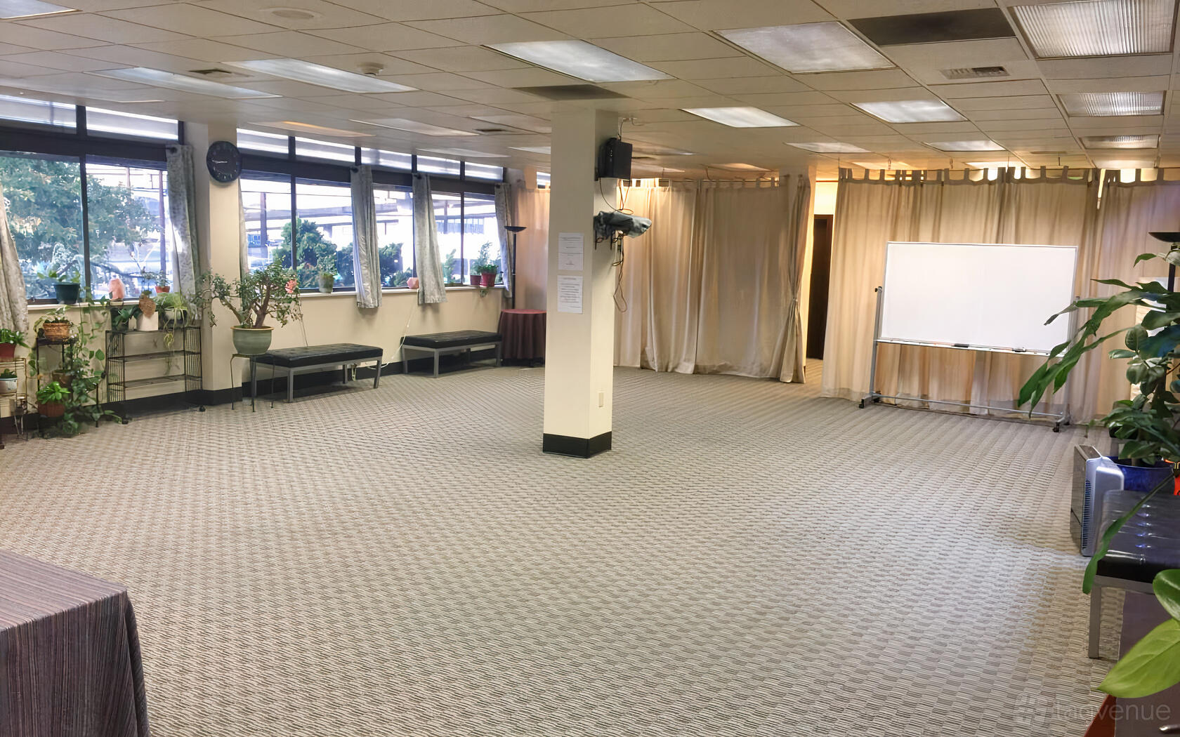An event space with large windows, indoor plants, and a portable whiteboard at IntraSpace.