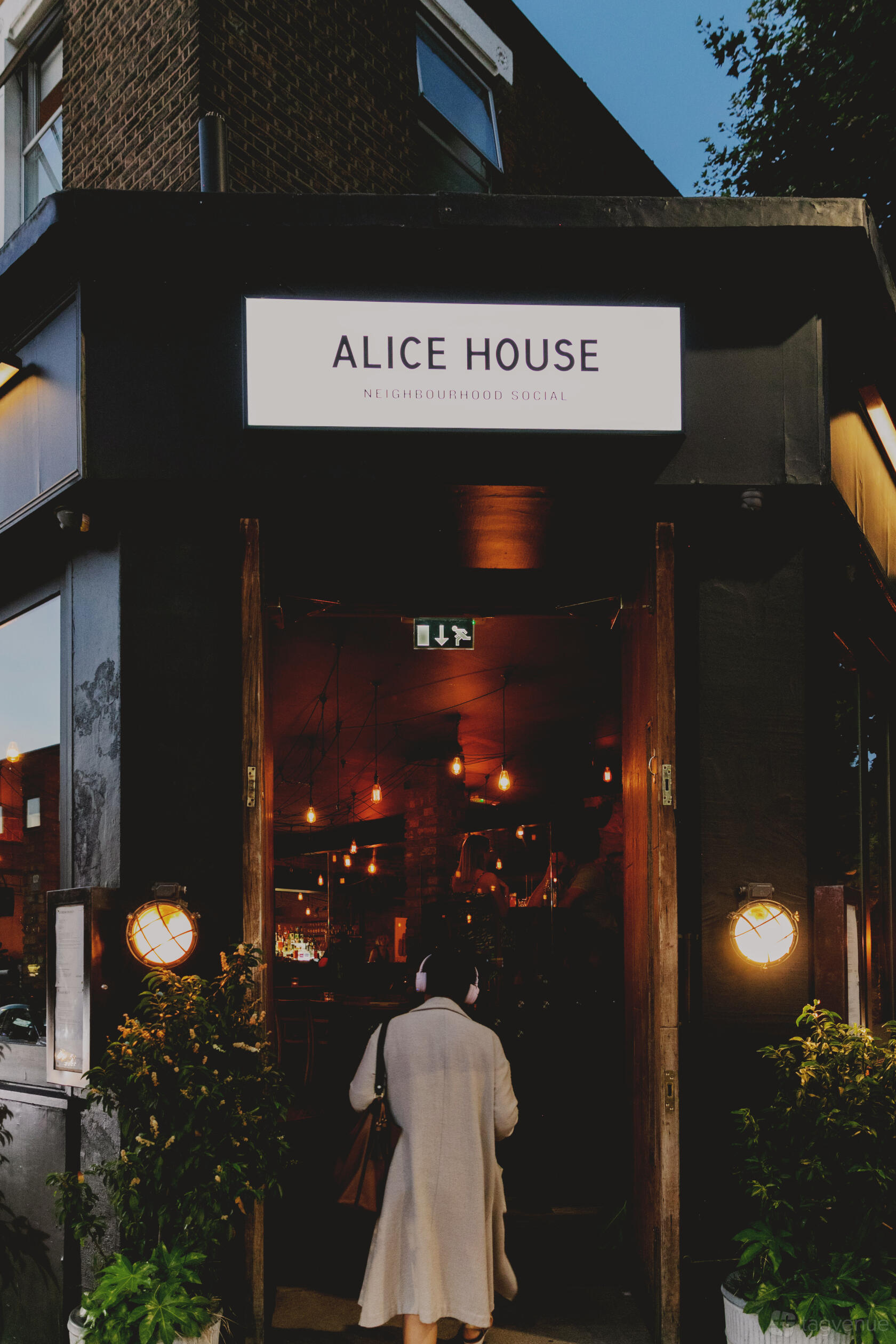 The Library The Alice House Queen s Park Event Venue Hire the-library-the-alice-house-queen-s-park-event-venue-hire